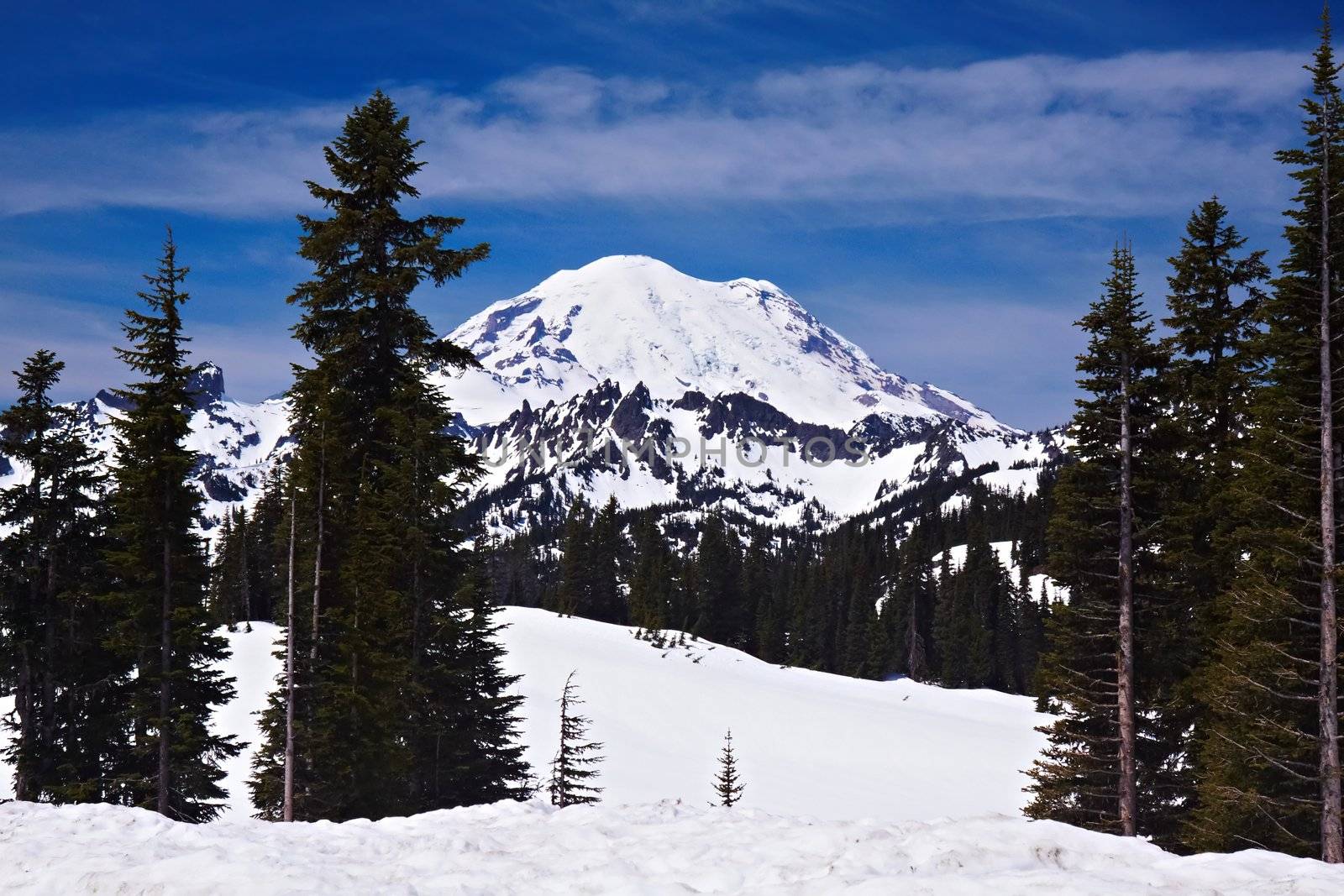 Snowcapped Mount Rainier by LoonChild