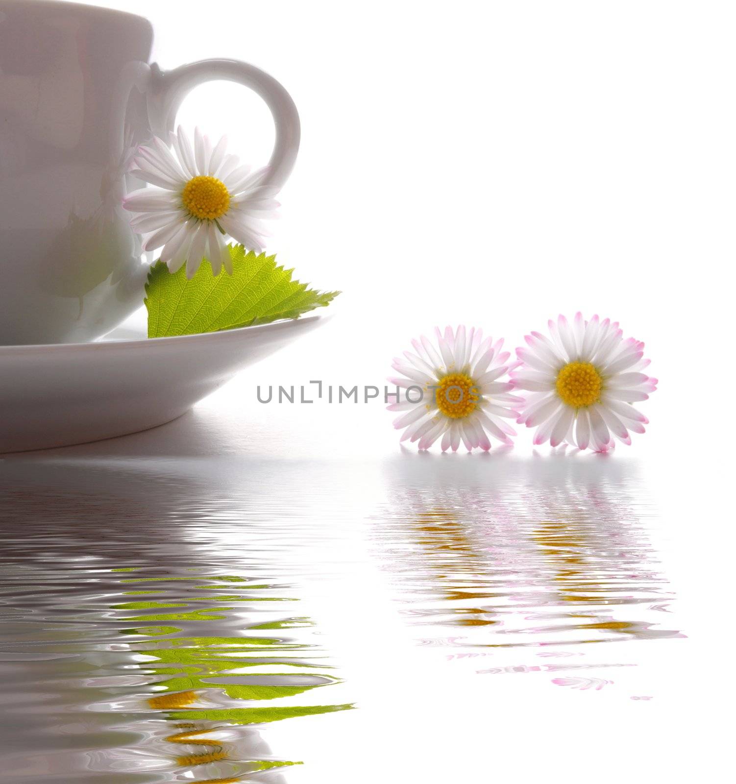 cup of tea or coffee with flowers and water reflection