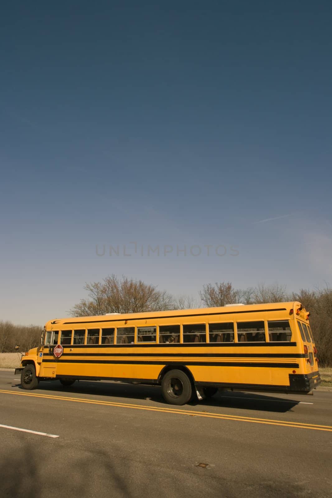 School Bus on the road