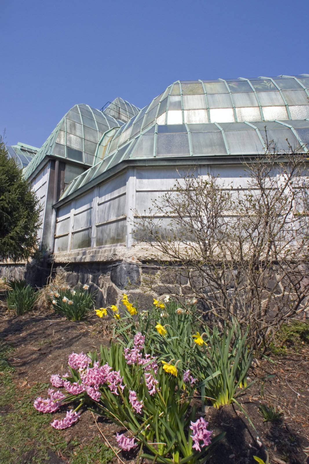 Lincoln Park Conservatory in Chicago