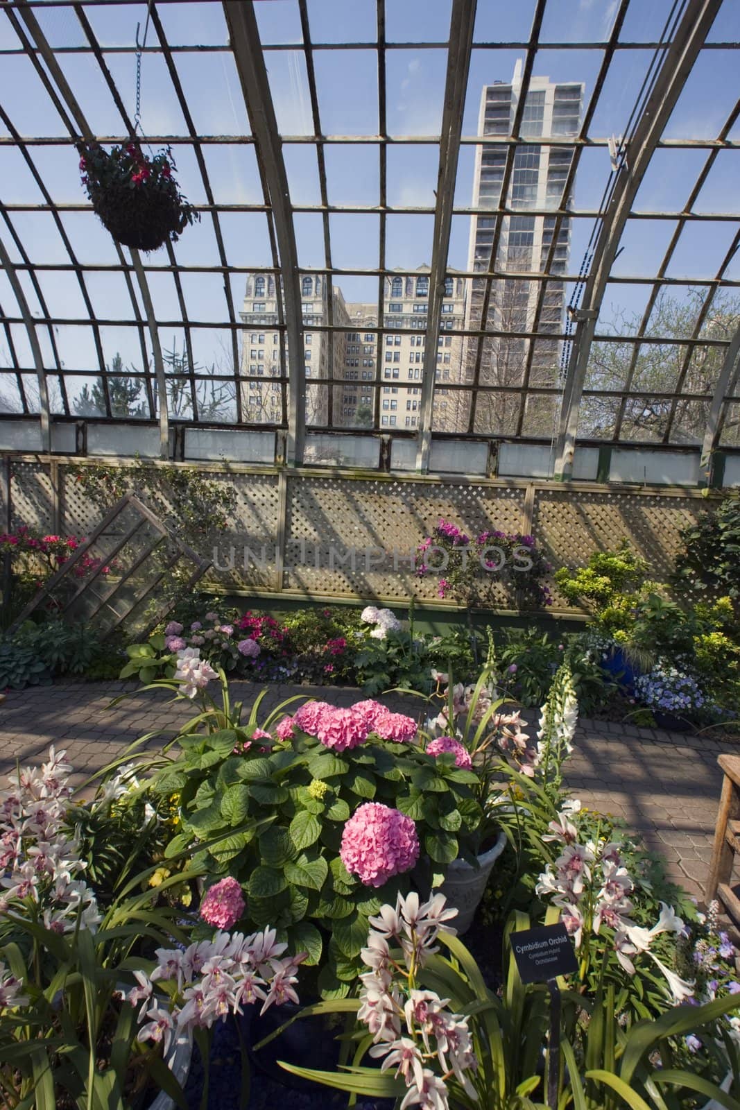 Lincoln Park Conservatory in Chicago