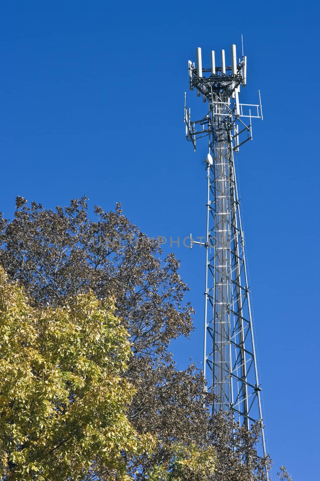 Lattice Tower with cellular antennas.