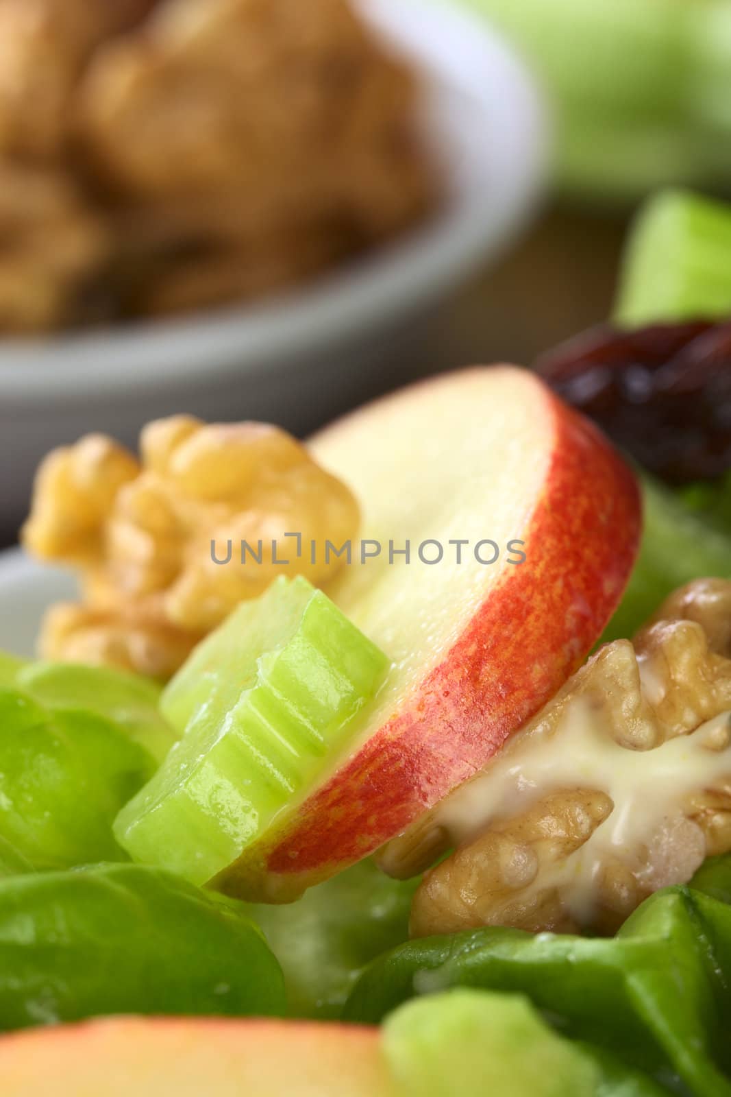Fresh delicious home-made Waldorf Salad consisting of lettuce, apple, celery, walnuts, raisins and mayonnaise with ingredients in the back (Very Shallow Depth of Field, Focus on the front of the apple and celery slice) 