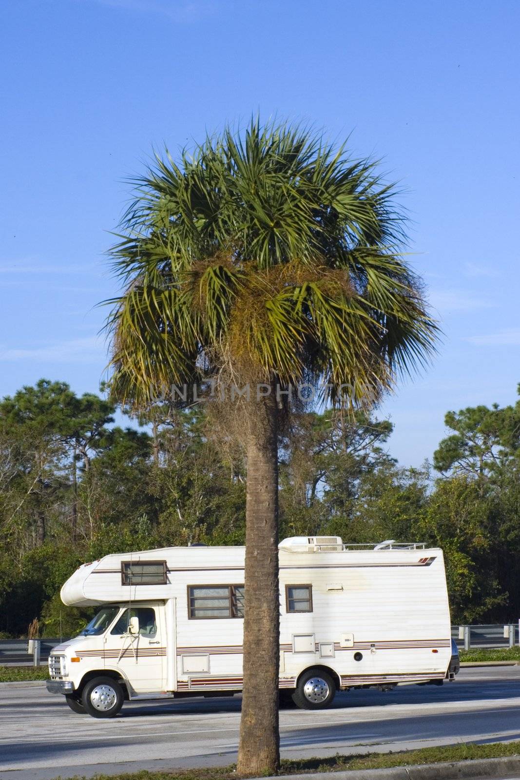 RV and Palm in Florida.