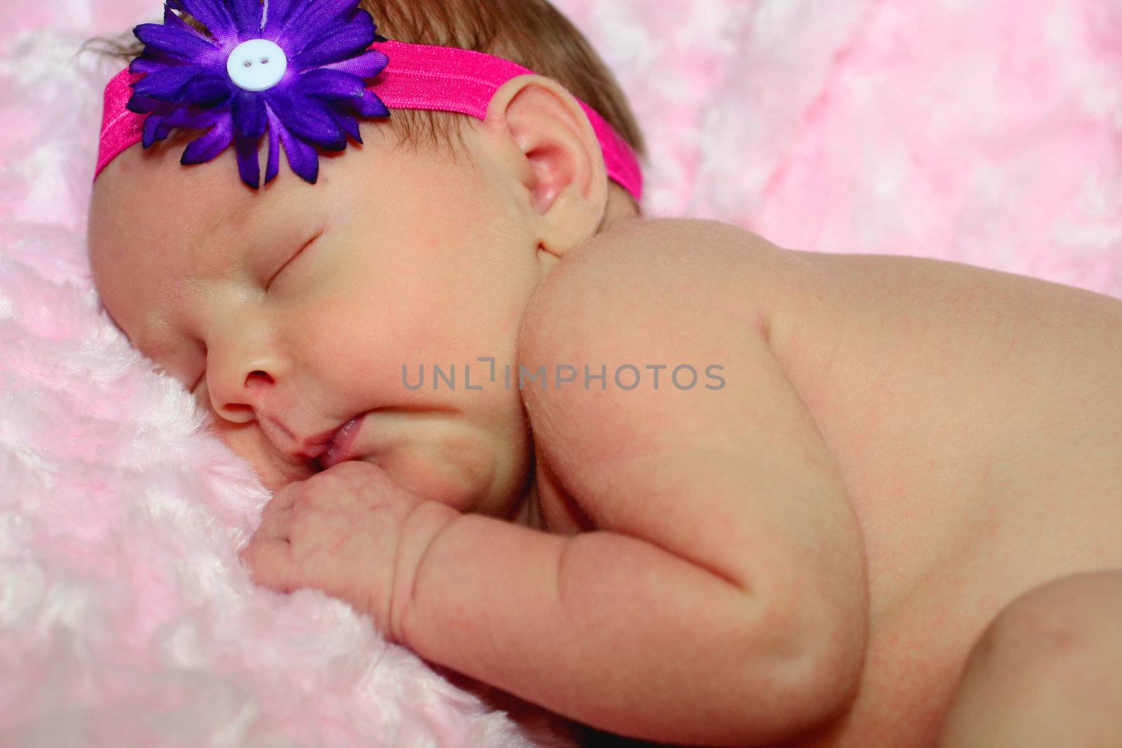 Newborn baby girl's first photo session asleep on pink blanket naked