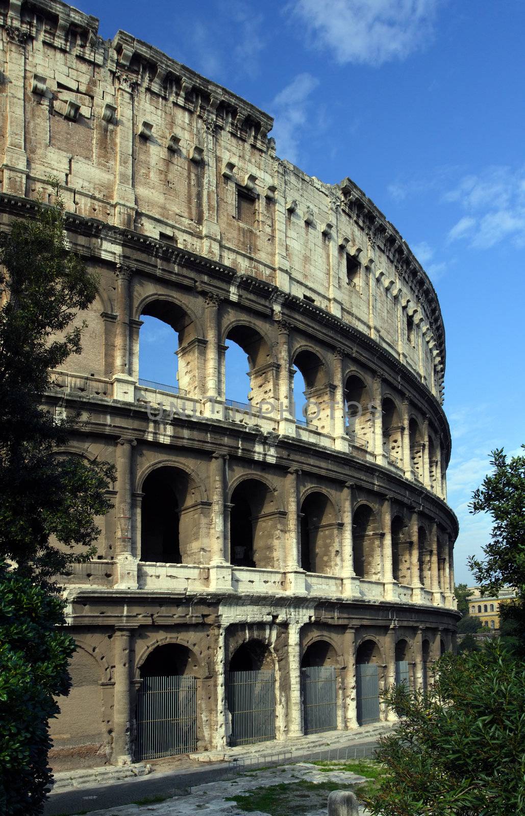 The Colosseum in Rome Italy.
