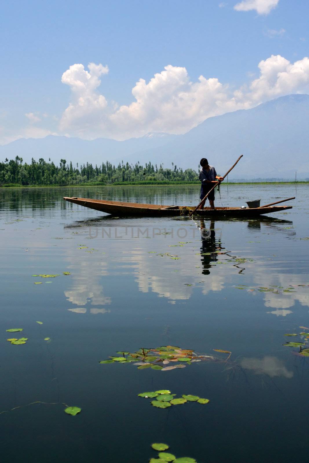 A young boy in Kashmir, India collecting grass off the bottom of a lake for agriculture.
