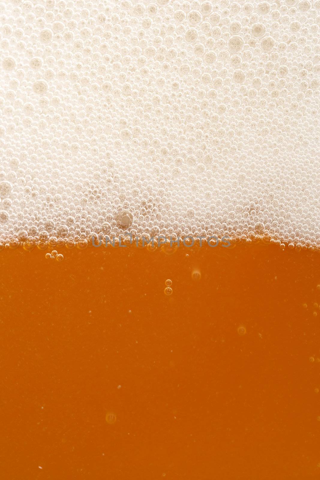 A macro image of a glass of amber beer.
