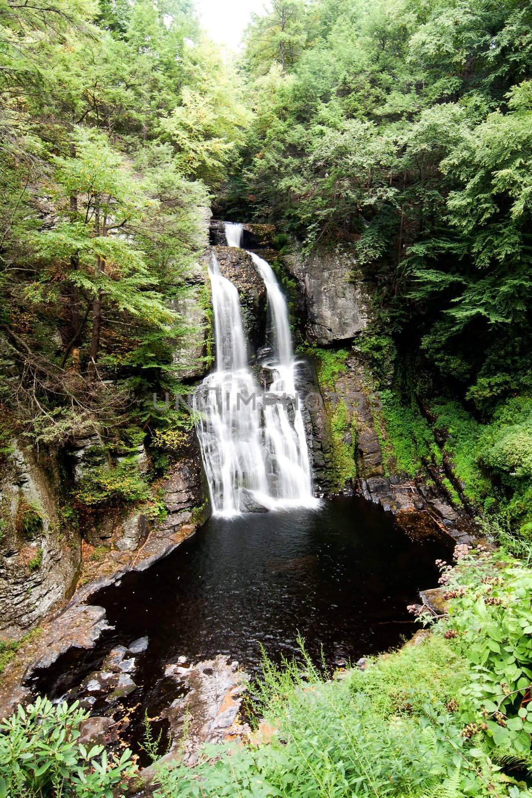 Beautiful waterfall in forest. Main falls of Bushkill at the Delaware water gap.