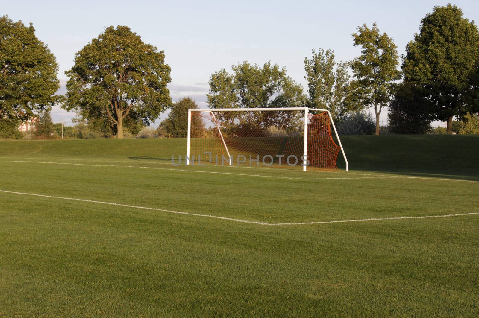 A soccer net with shot in bright sunlight with trees in the background.
