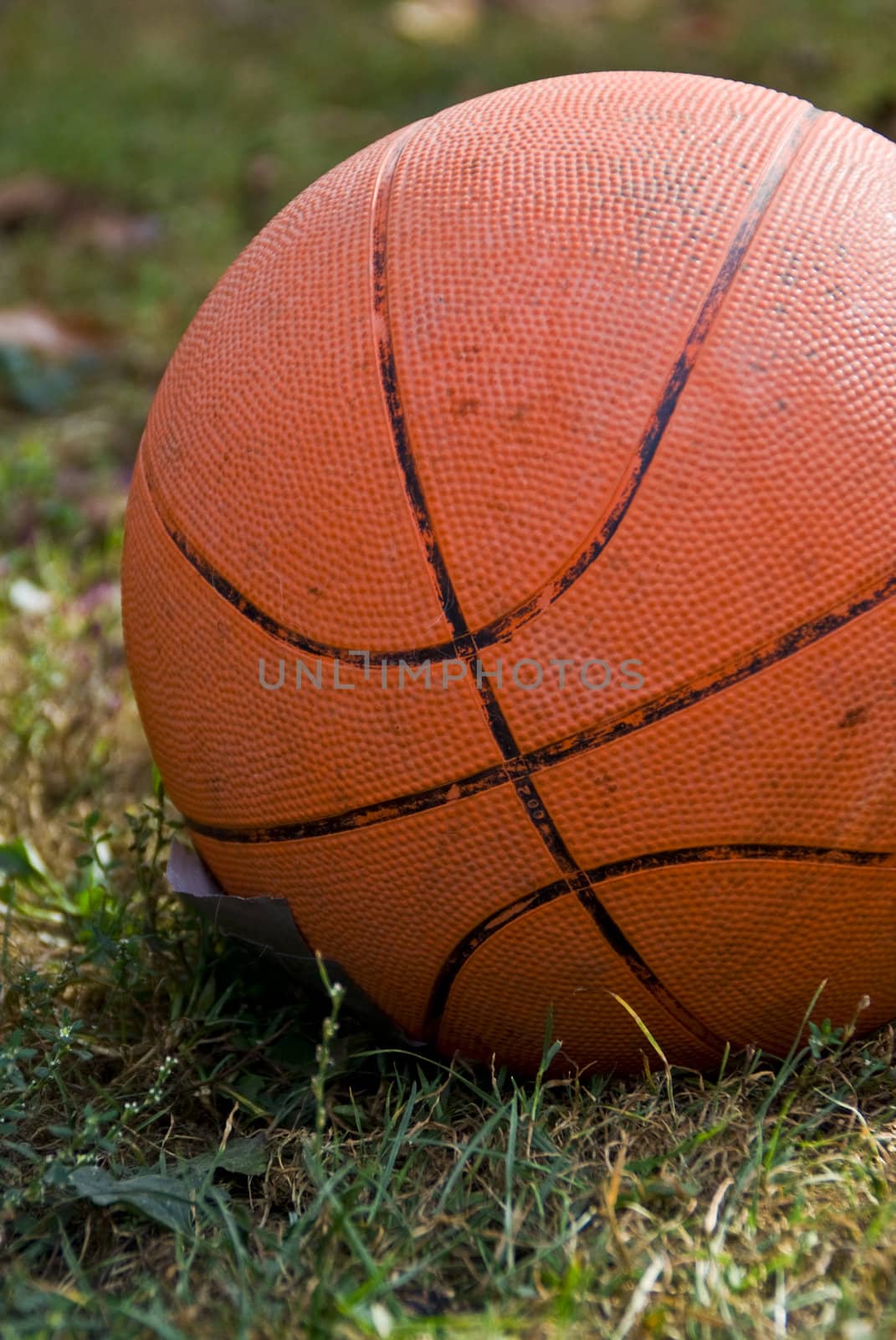 The orange ball in the grass. With distinctive lines that remind us that basketball.