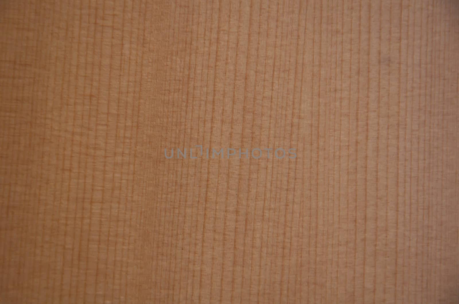 wood for acoustic guitar
