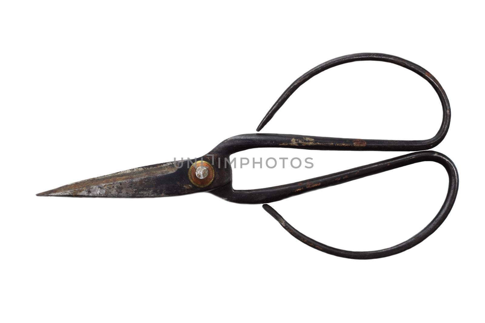 Traditional style antique metal Japanese Bonsai shears/scissors isolated on a white background.