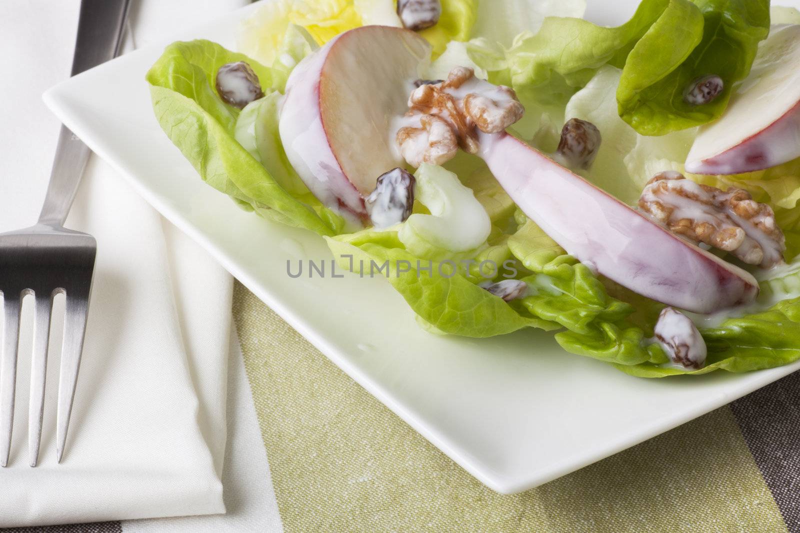 Waldorf salad with sweet red apple slices, walnuts and raisins, covered in yogurt.