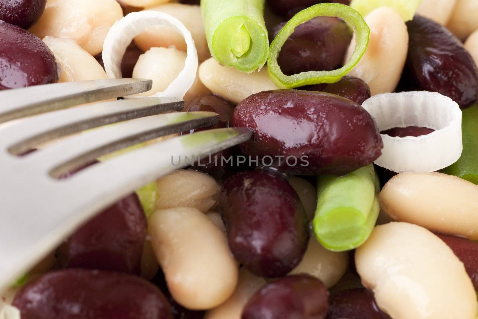 Three Bean Salad Close Up by charlotteLake