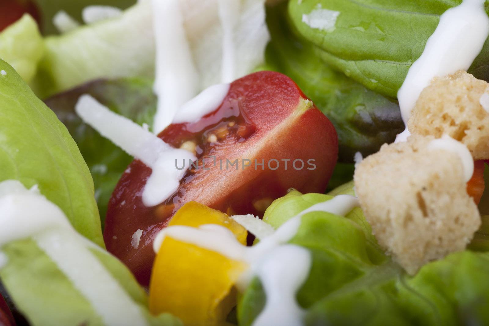 Salad Tomato by charlotteLake