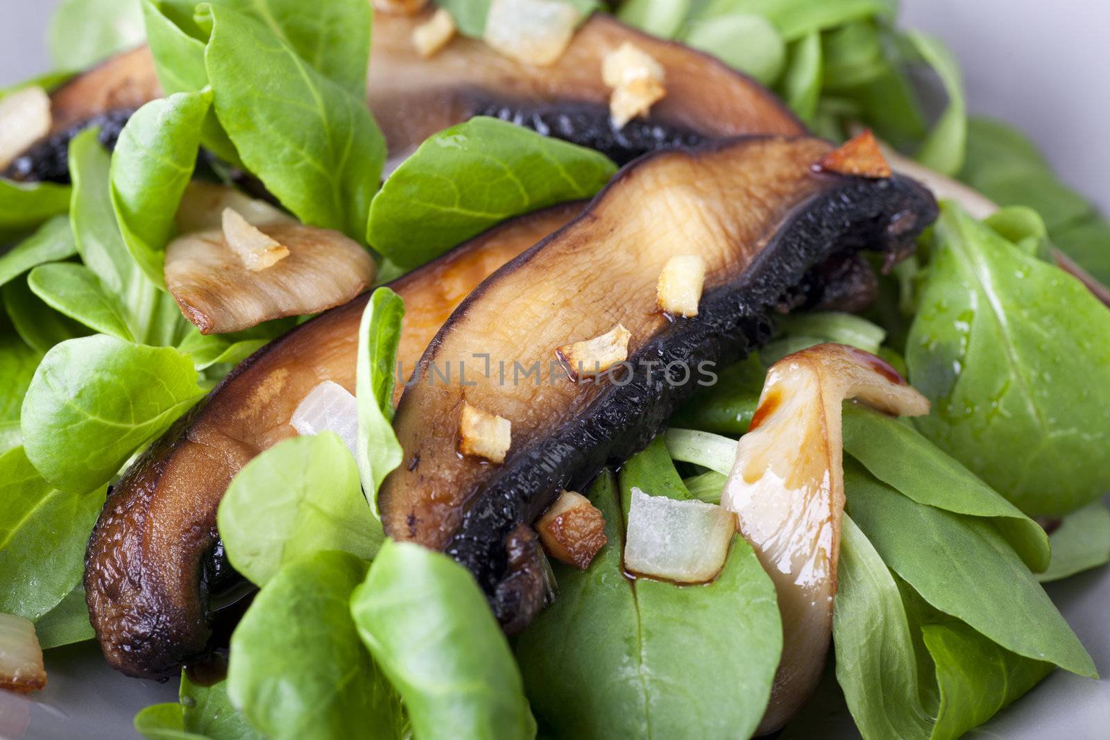 Warm mushroom salad on a bed of baby lettuce.