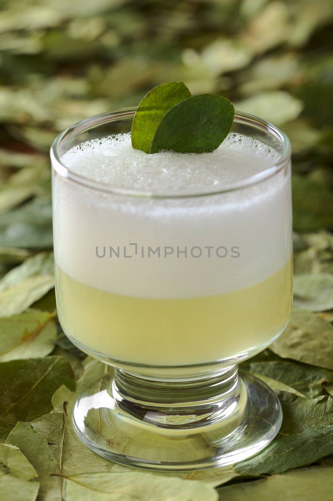 Peruvian cocktail called Coca Sour made of Pisco (Peruvian grape schnaps), coca leaves, lime juice, syrup and egg white (Selective Focus, Focus on the first coca leaf in the cocktail)