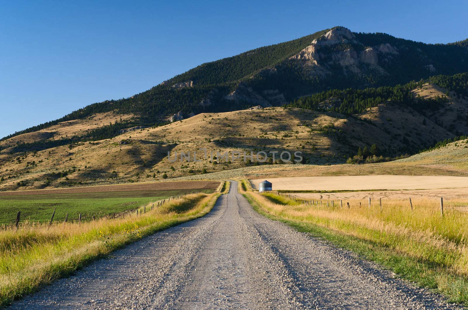 Gravel road, farmland and the Bridger Mountain Range, Gallatin County, Montana, USA