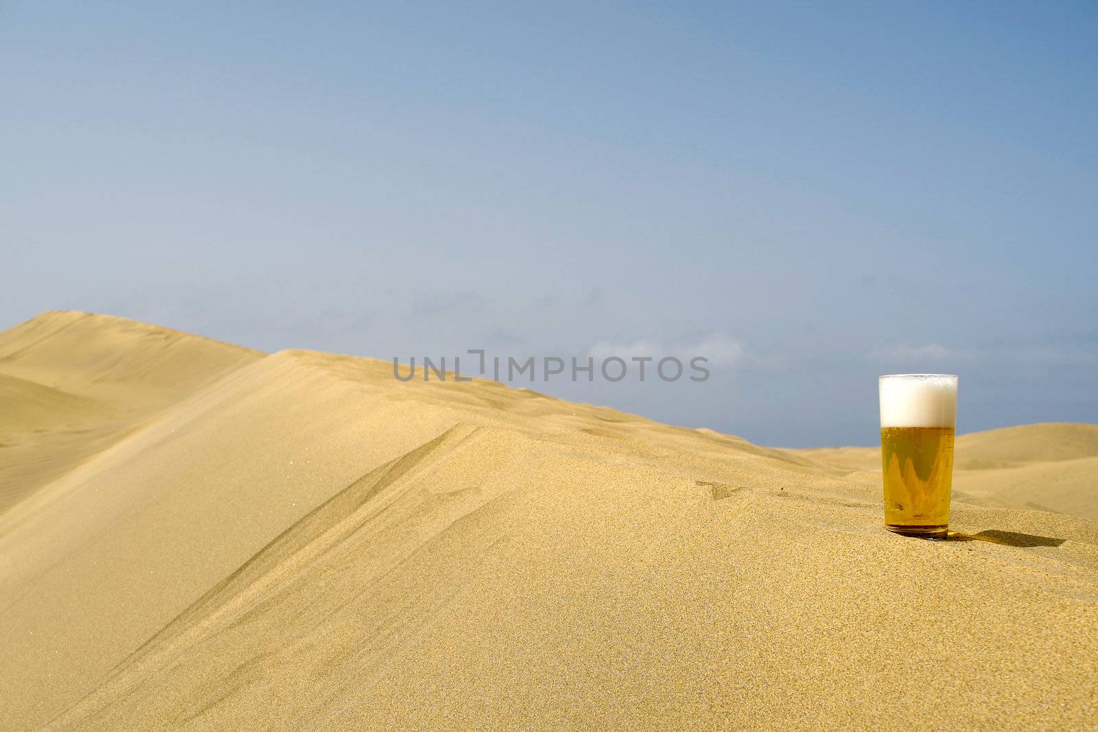 A glass of fresh beer in a desert. 