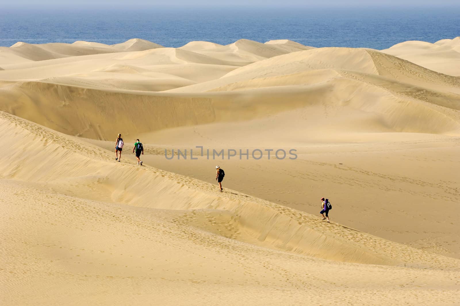 People are walking in the desert