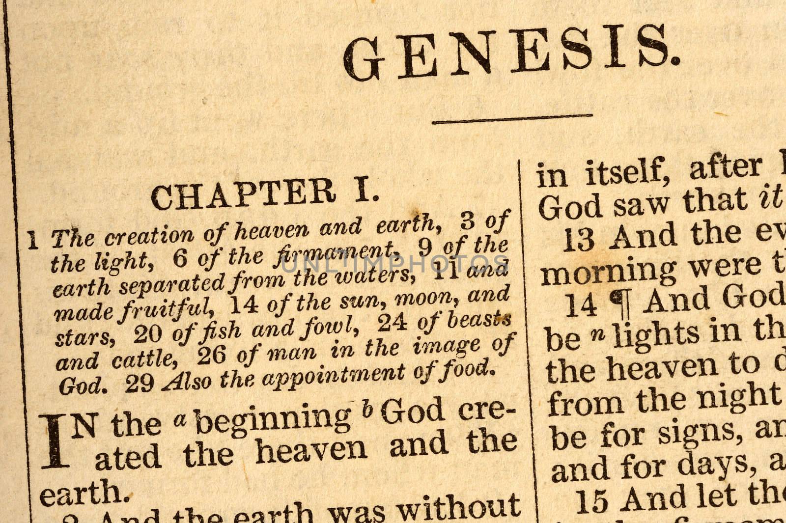 The first words of Genesis by Bateleur