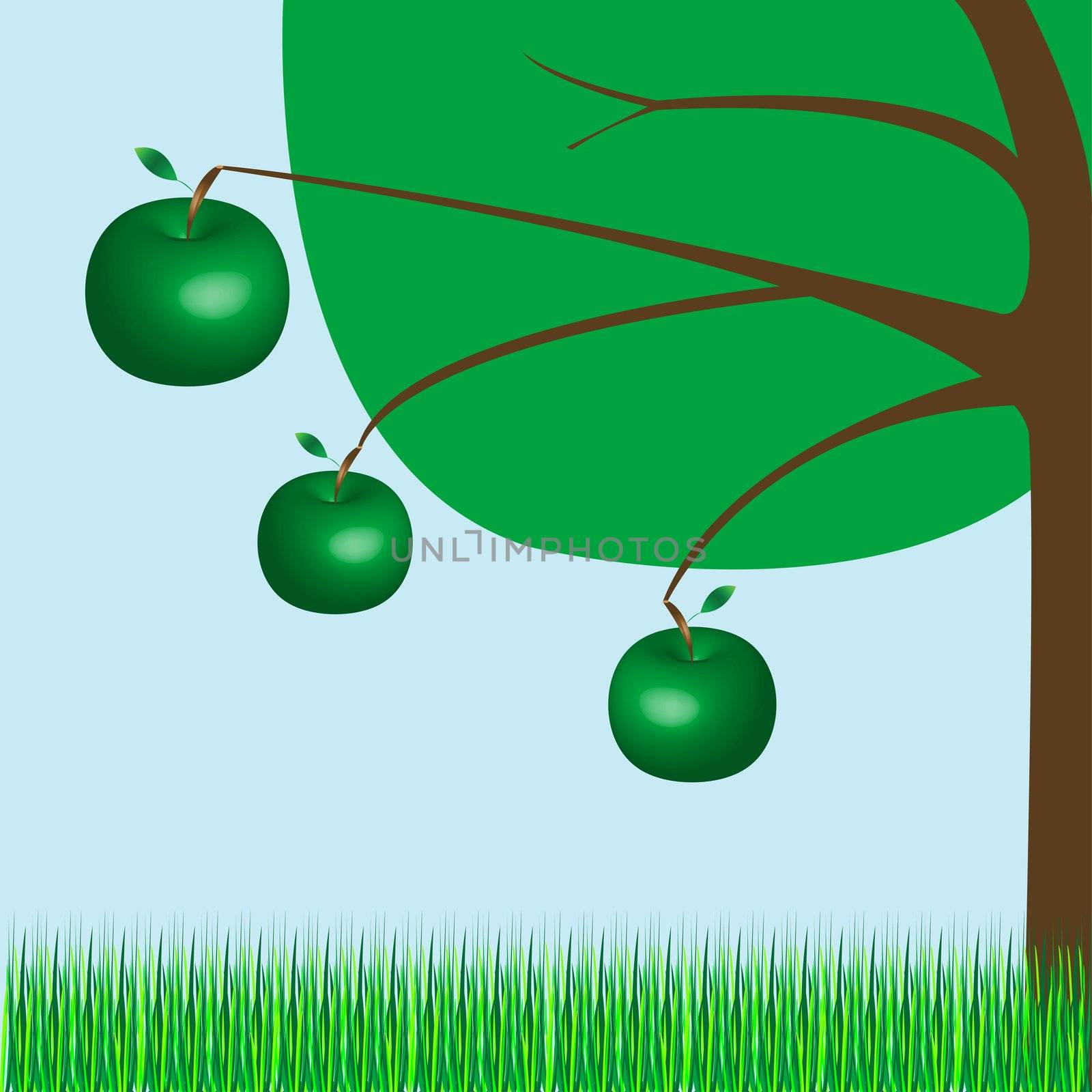 apple tree, vector art illustration; more drawings in my gallery