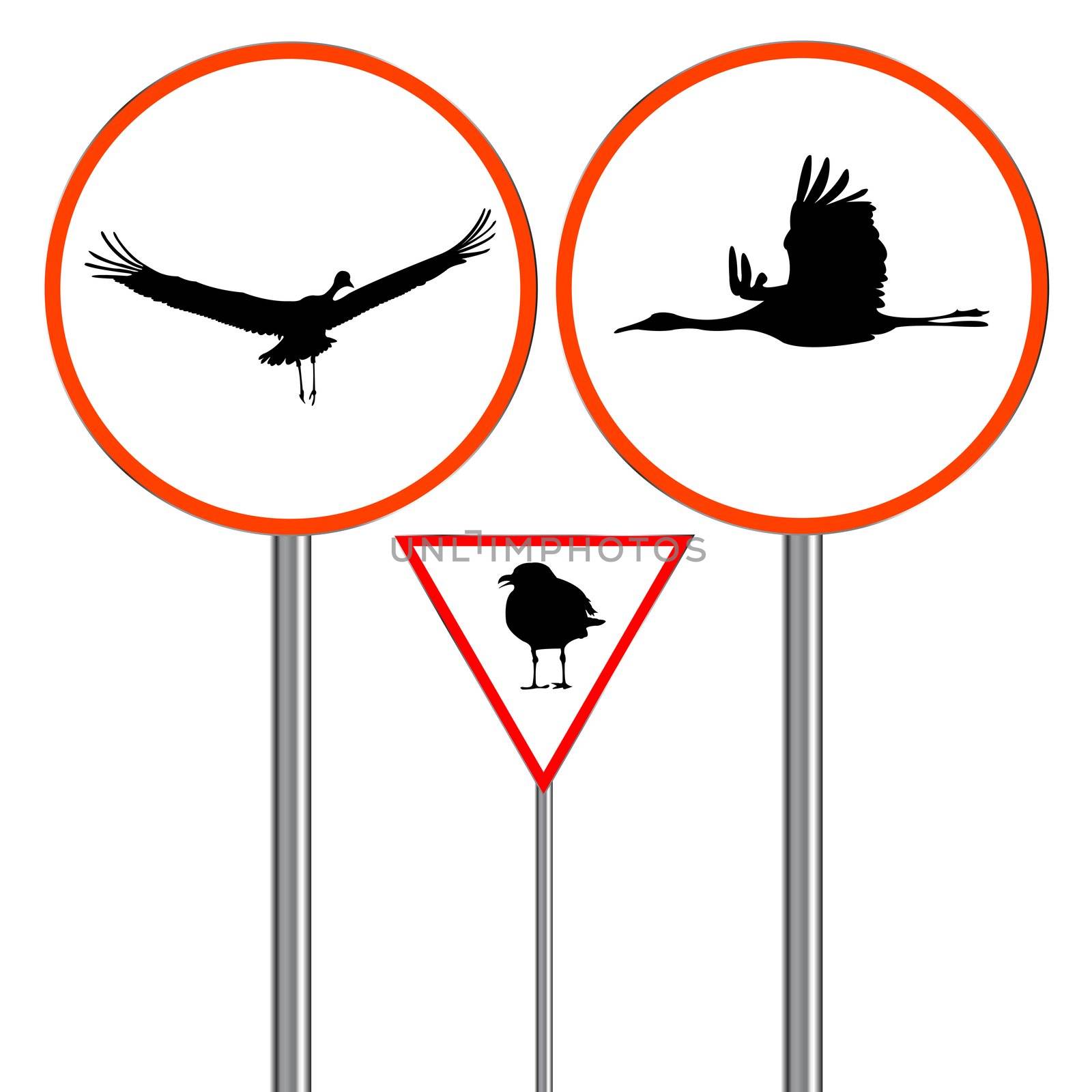 birds traffic signs isolated on white background, abstract art illustration