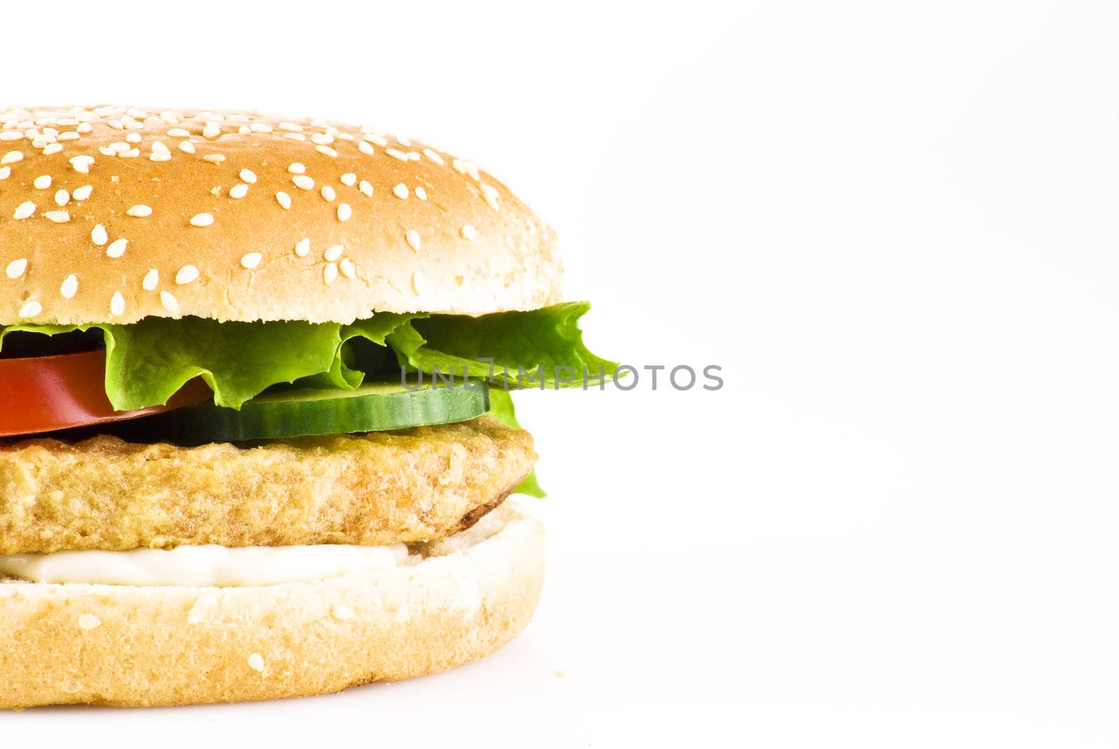 Chicken burger with tomato cucumber lettuce and mayonnaise over white