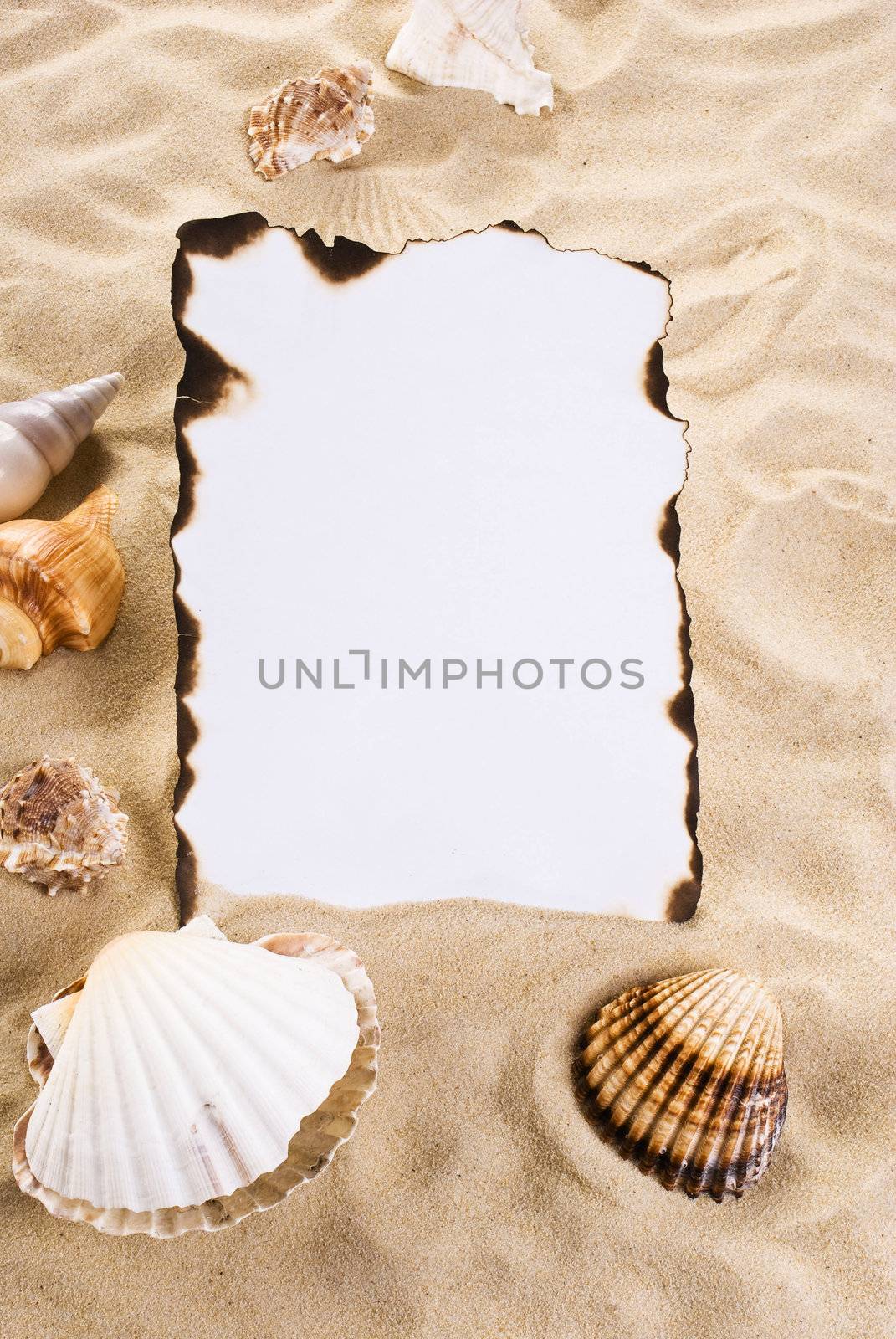 Burned paper on the sand with shells