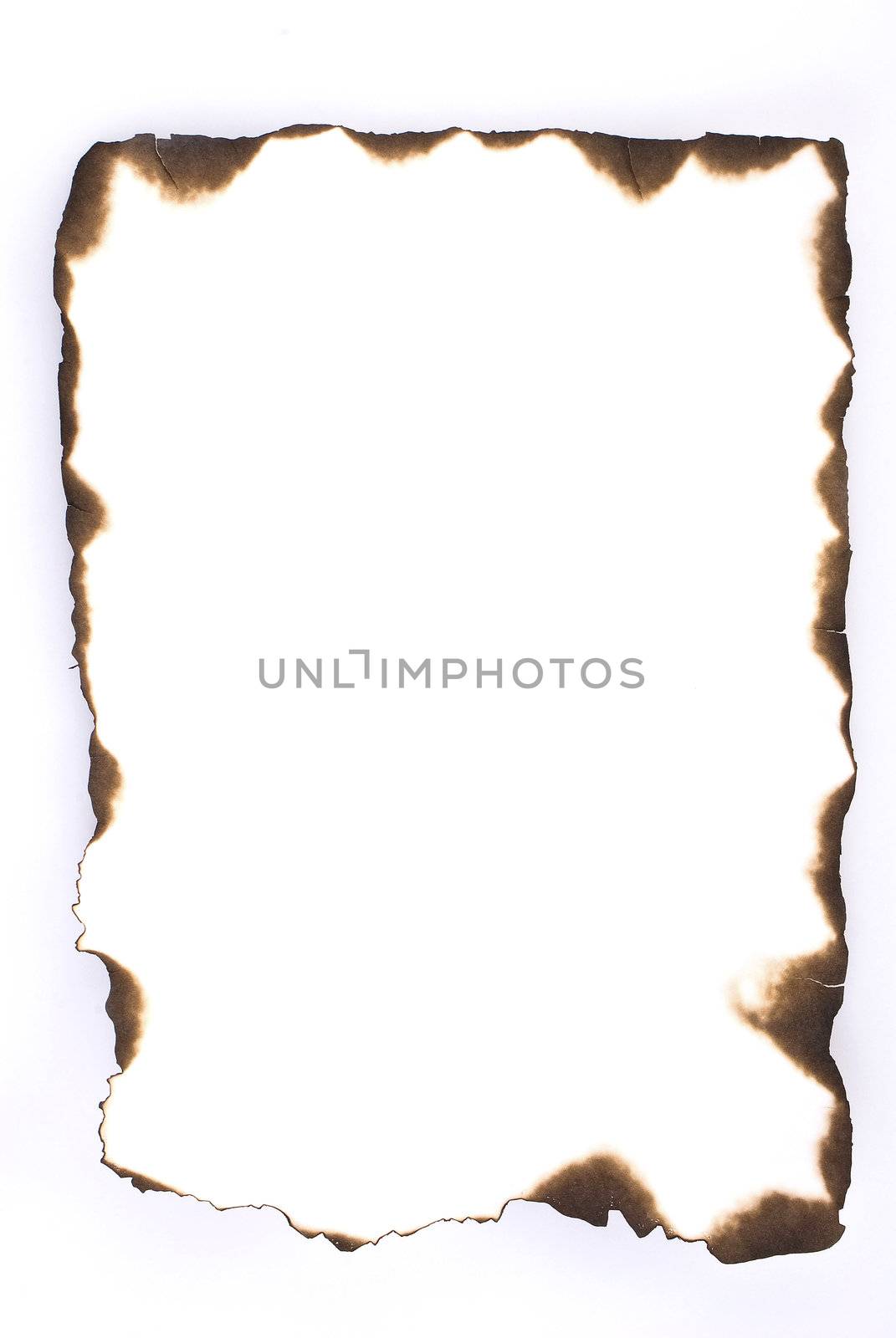 Burned paper over the white background