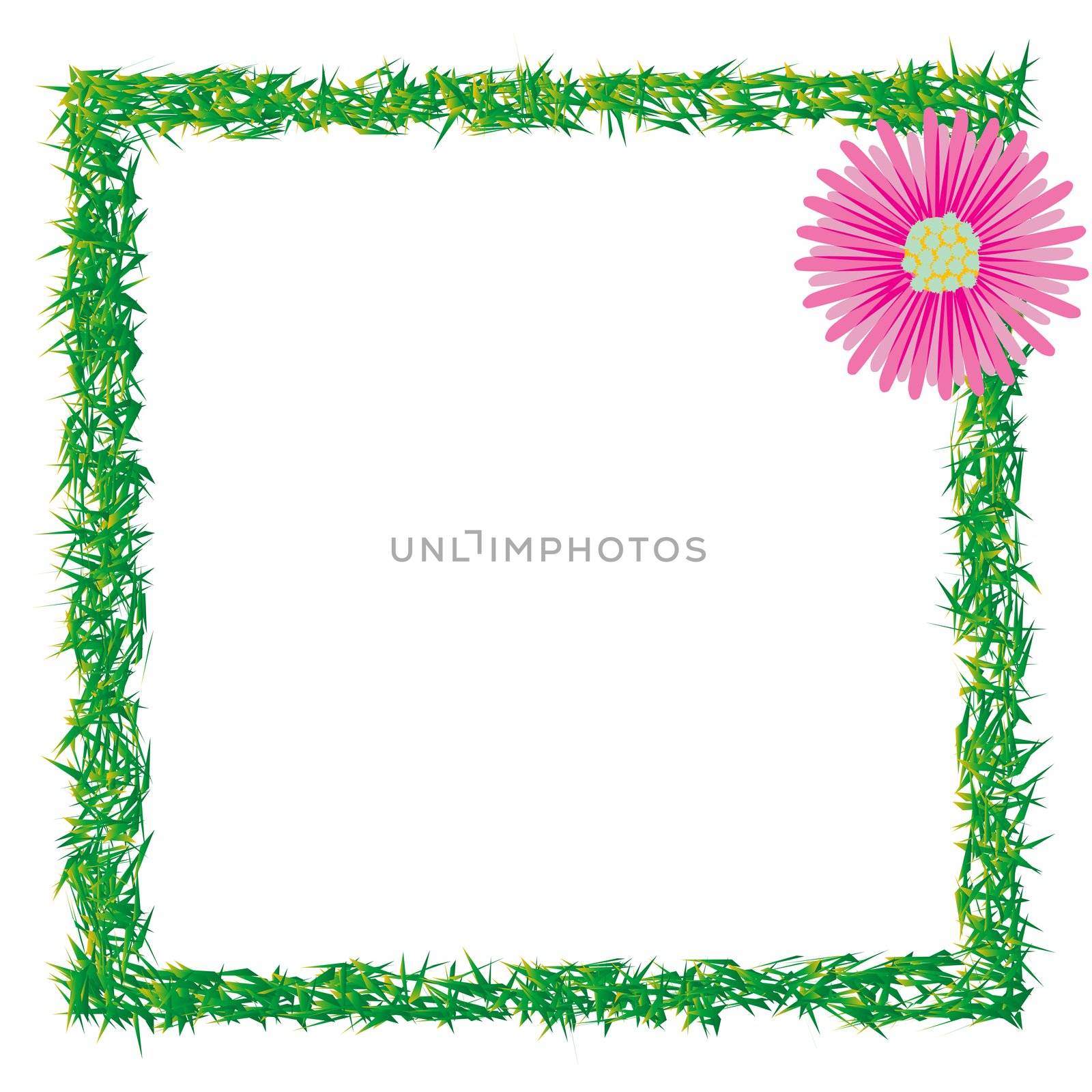 grass and flower photo frame, abstract art illustration