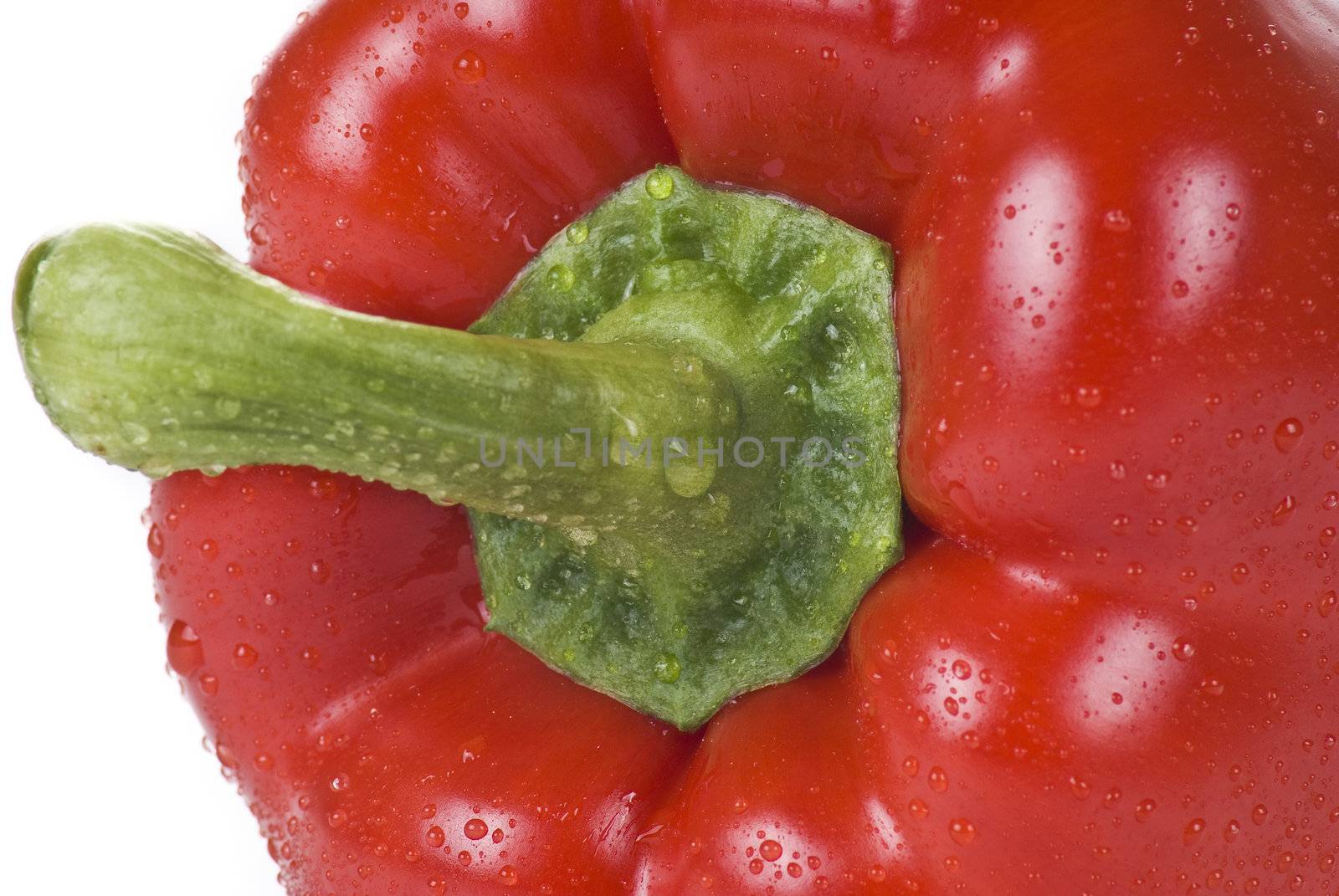 Sweet red pepper closeup