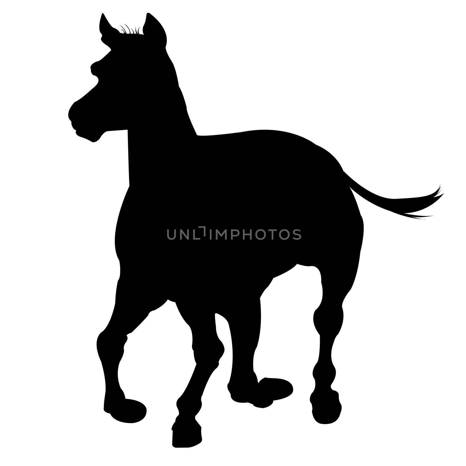 horse silhouette isolated on white by robertosch