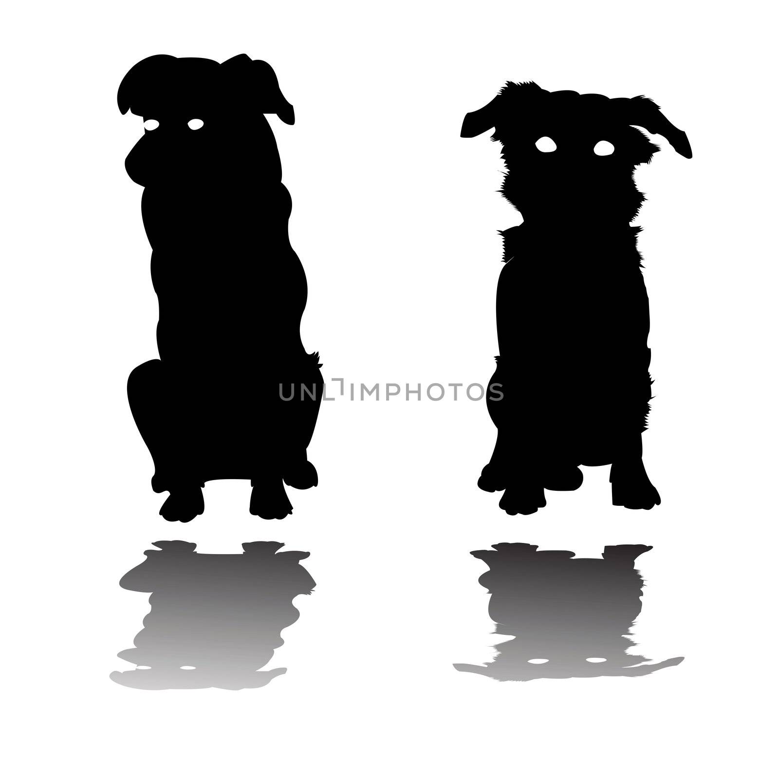 two little dogs silhouettes, vector art illustration