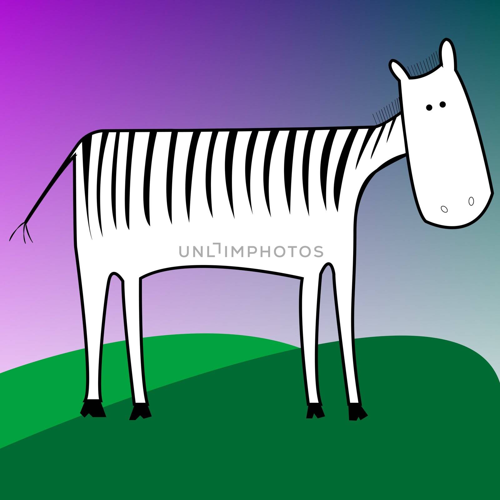 drawing of a zebra by robertosch