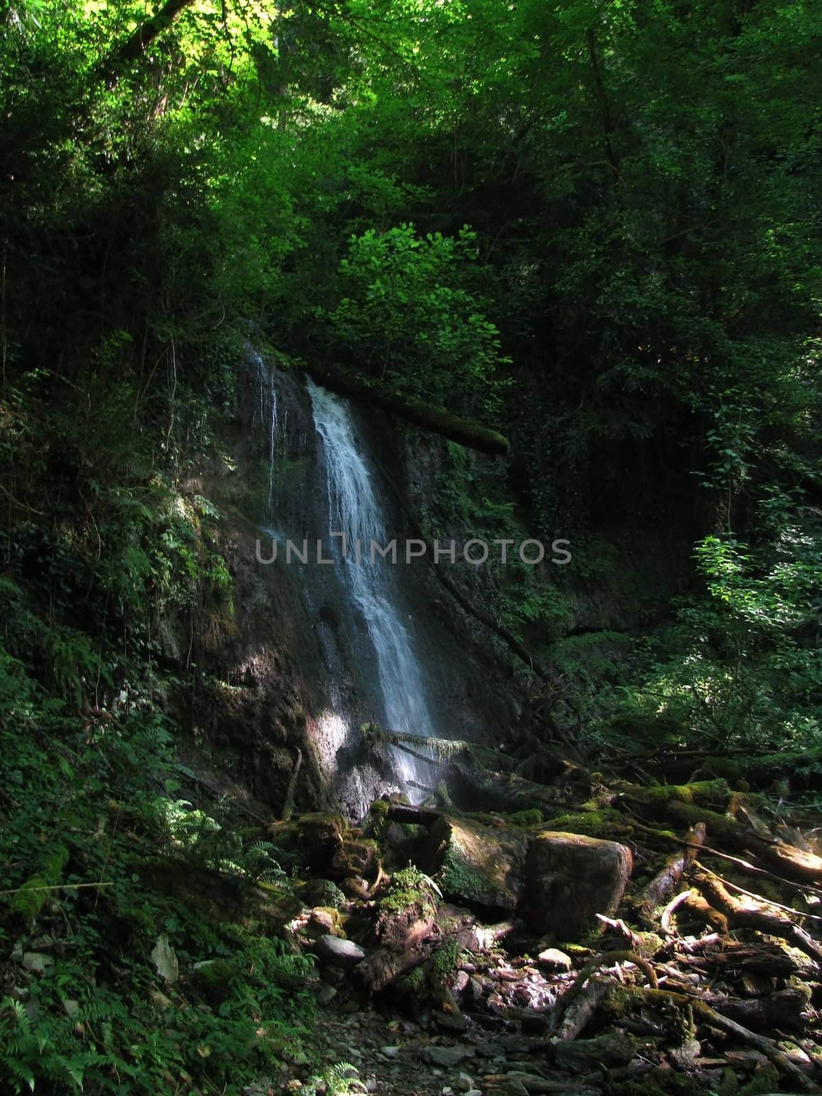 Falls, the river, stream, water, moisture, beauty, Caucasus, relief, landscape, the nature, landscape, kind