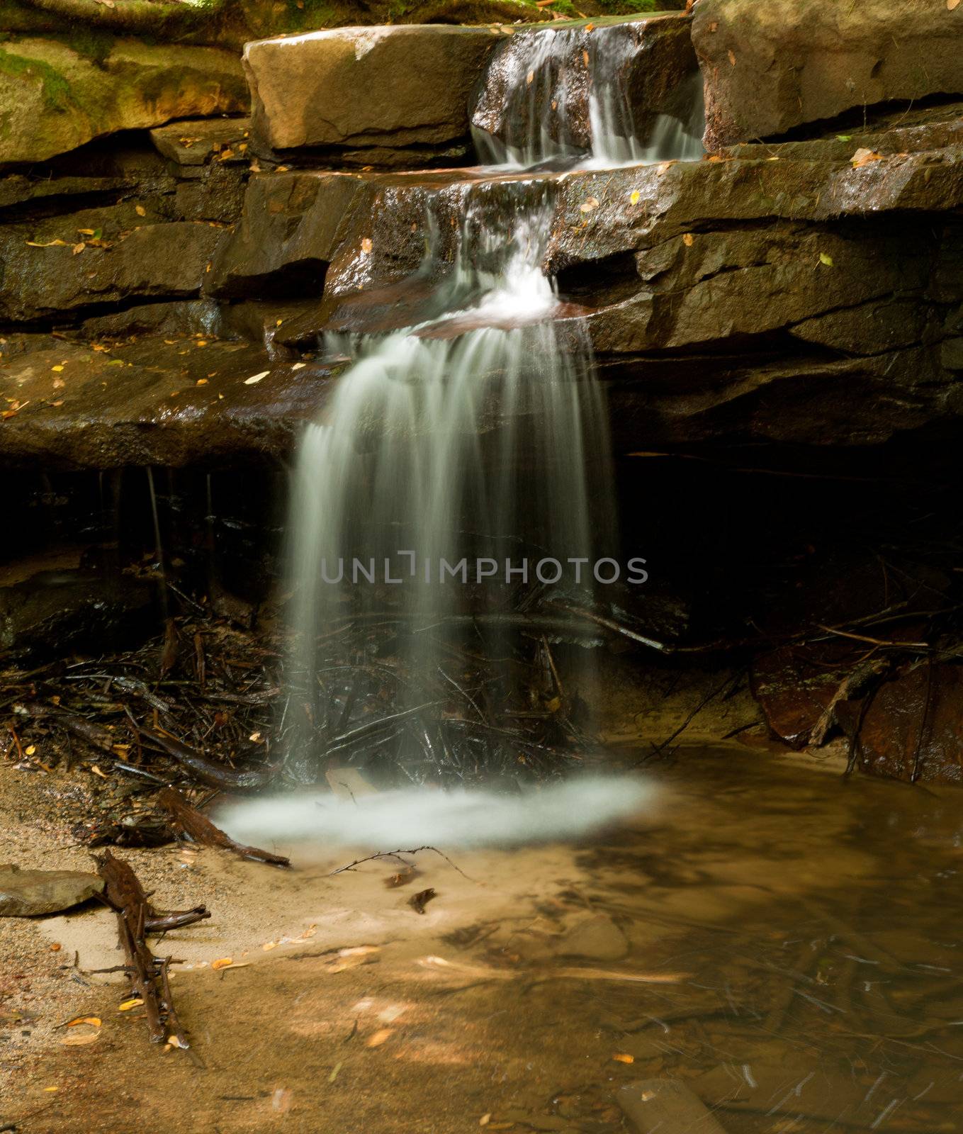 Swallow Falls Maryland by steheap