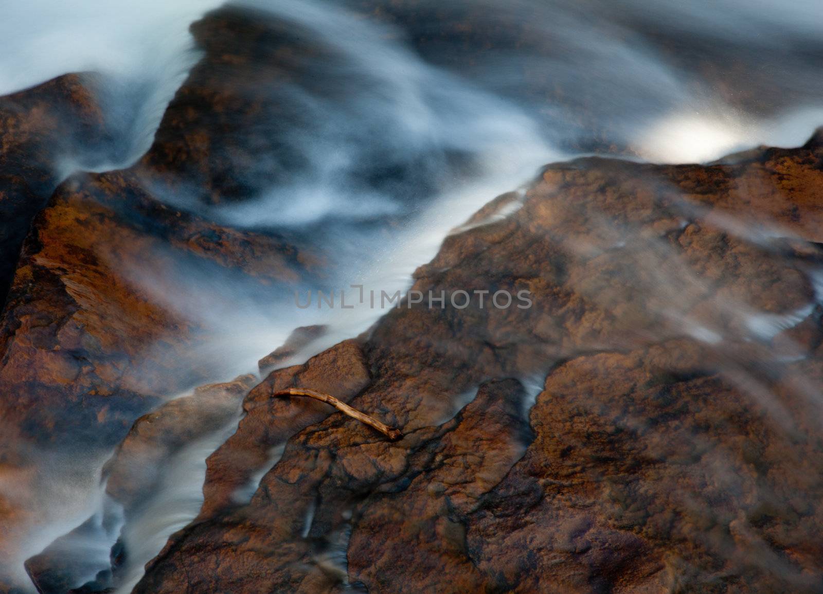 Autumn leaves in river by steheap