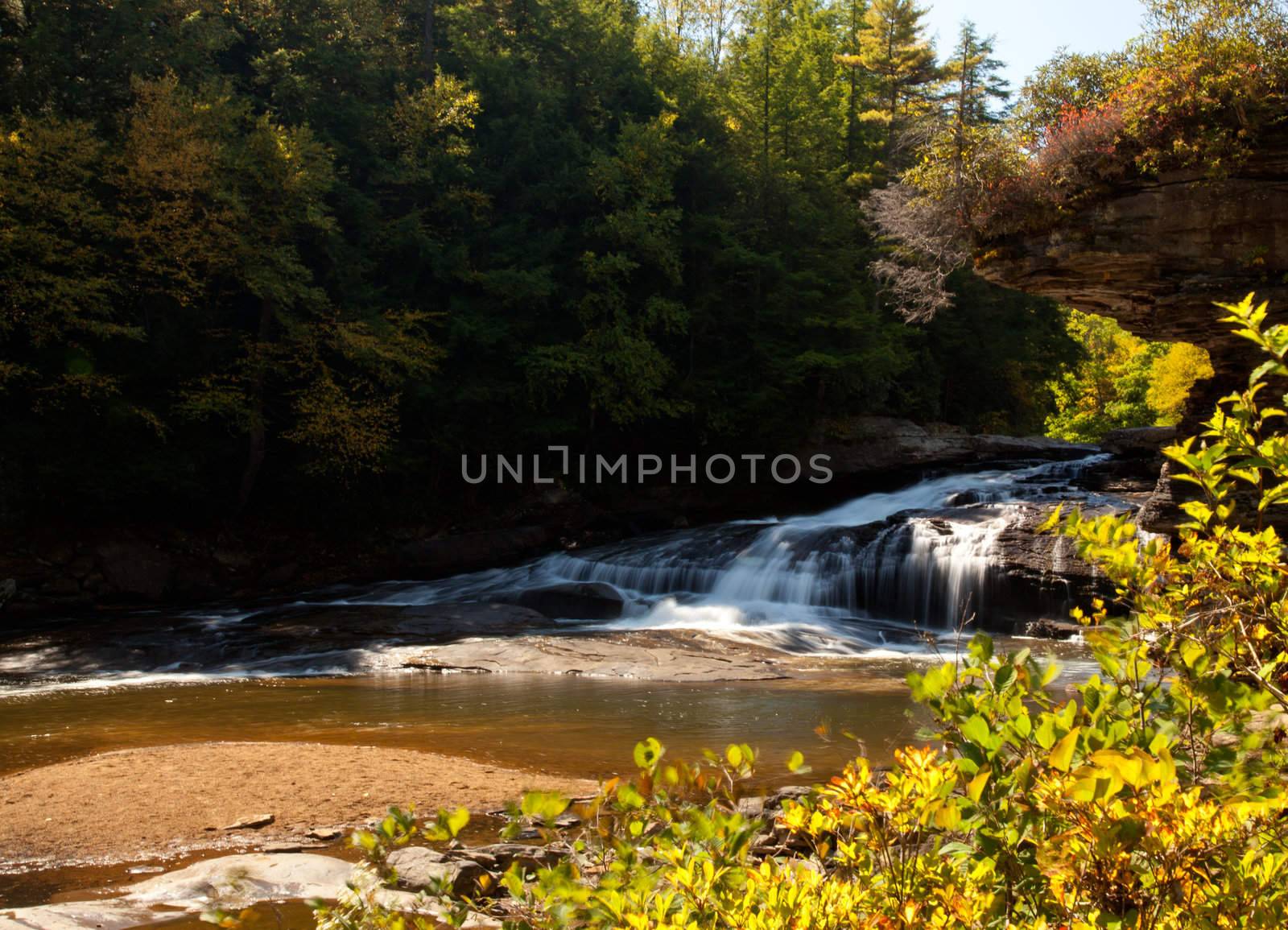 Upper falls in Swallow Falls State Park in Maryland USA