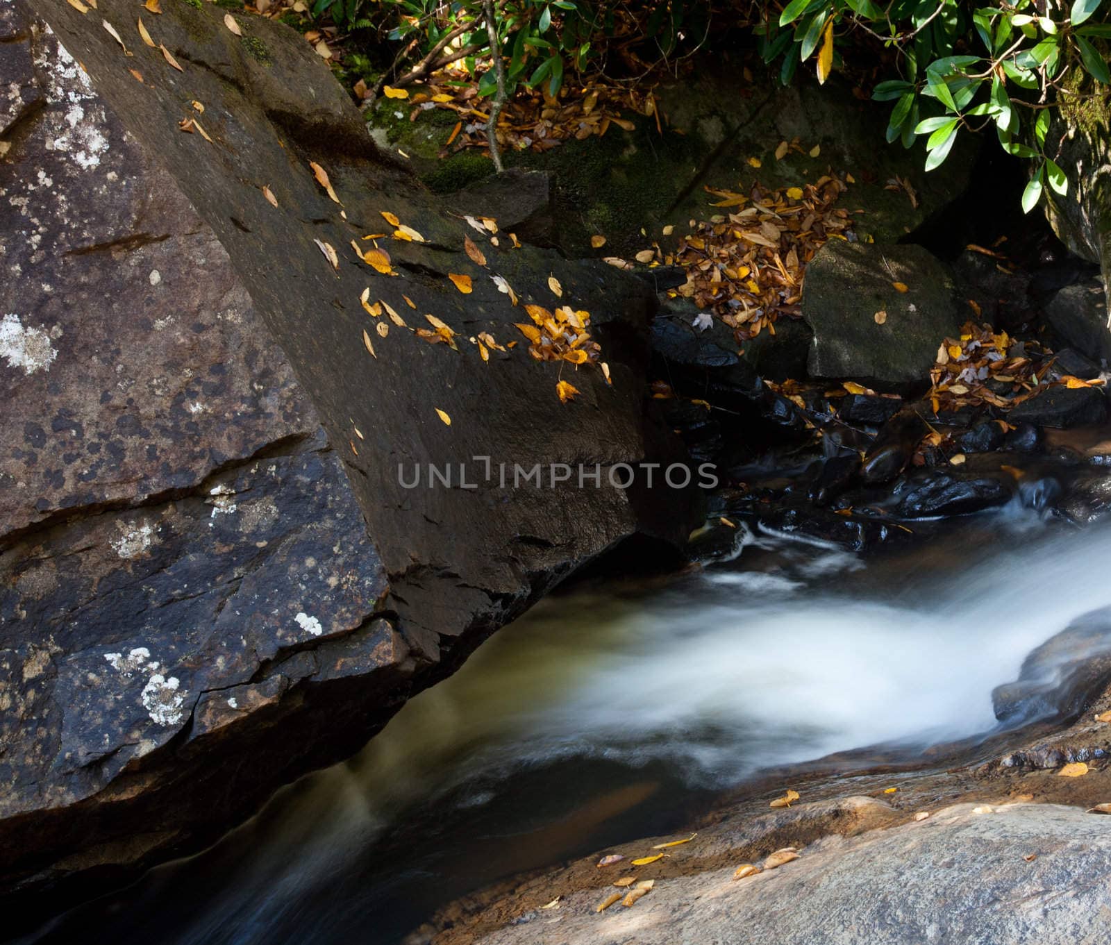 Fallen leaves in fall in river by edge of waterfall