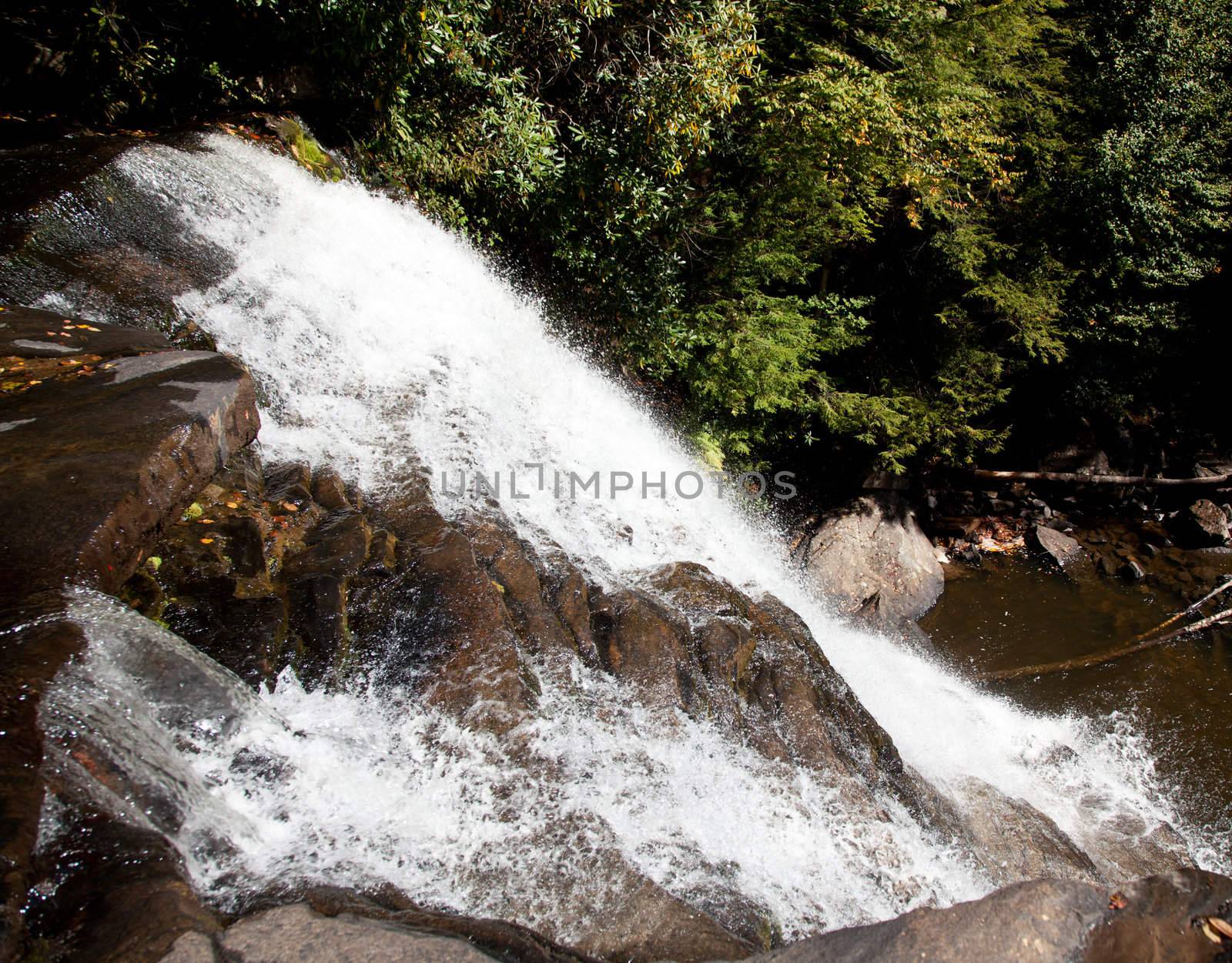 Swallow Falls Maryland by steheap