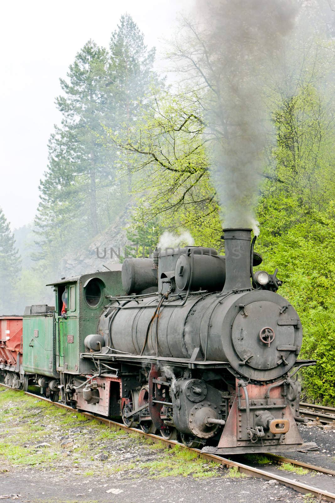 narrow gauge railway, Banovici, Bosnia and Hercegovina