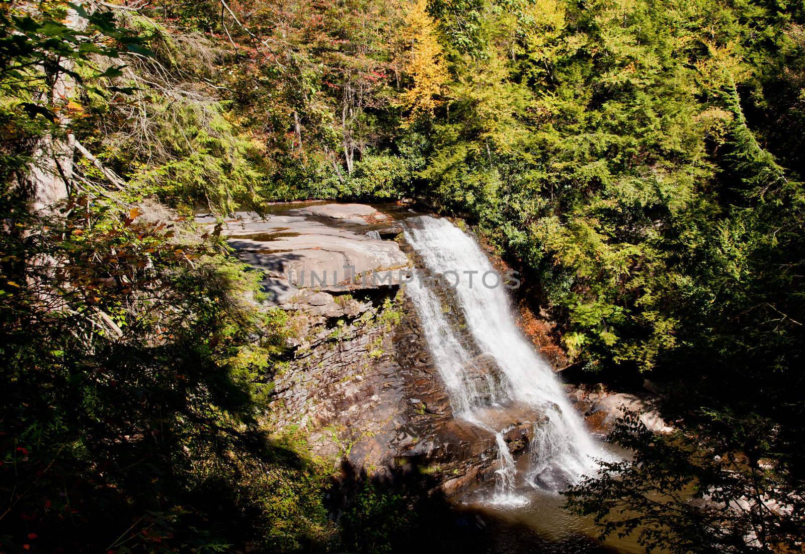 Swallow Falls Maryland by steheap