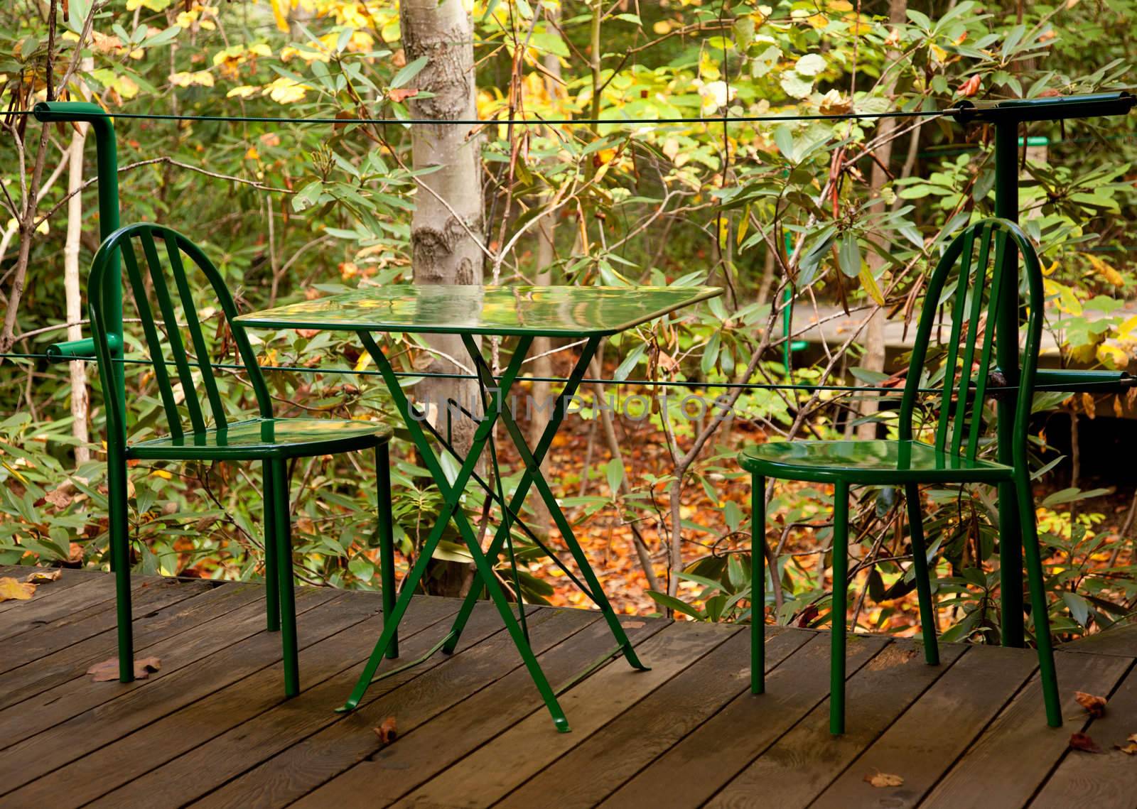 Green table and chairs by steheap