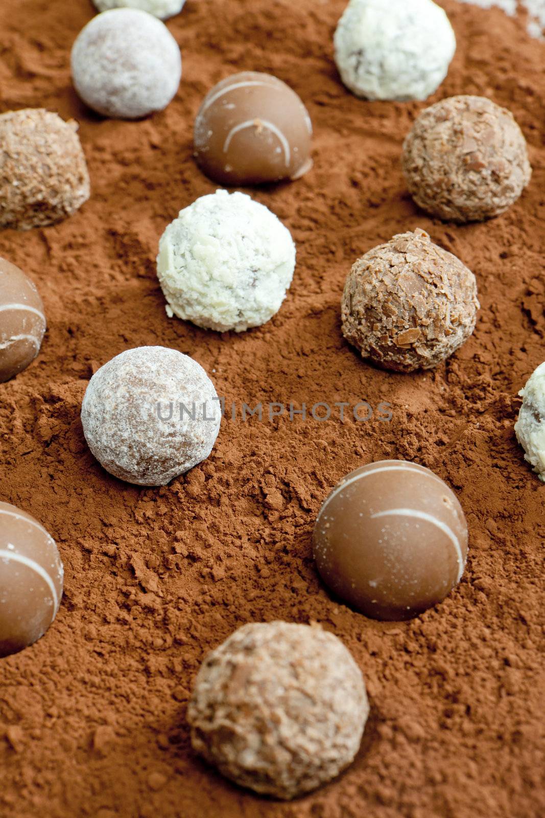 pralines in cocoa