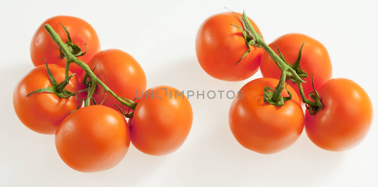 tomatoes by phbcz