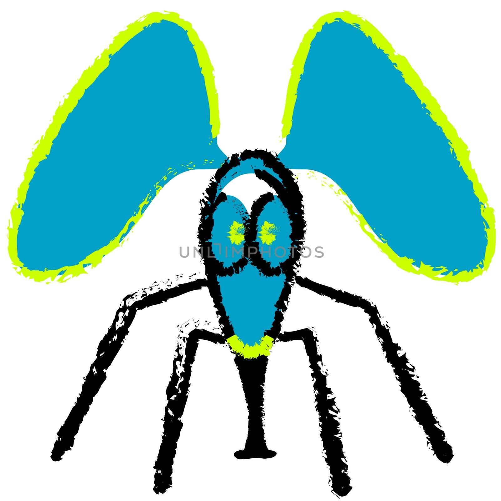 crazy fly, vector art illustration, more vector drawings in my gallery.