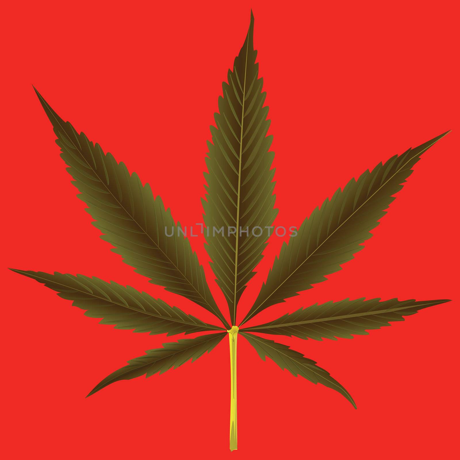 cannabis leaf against orange background, abstract vector art illustration