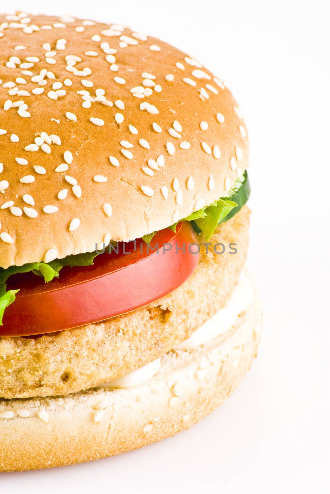 Chicken burger by caldix